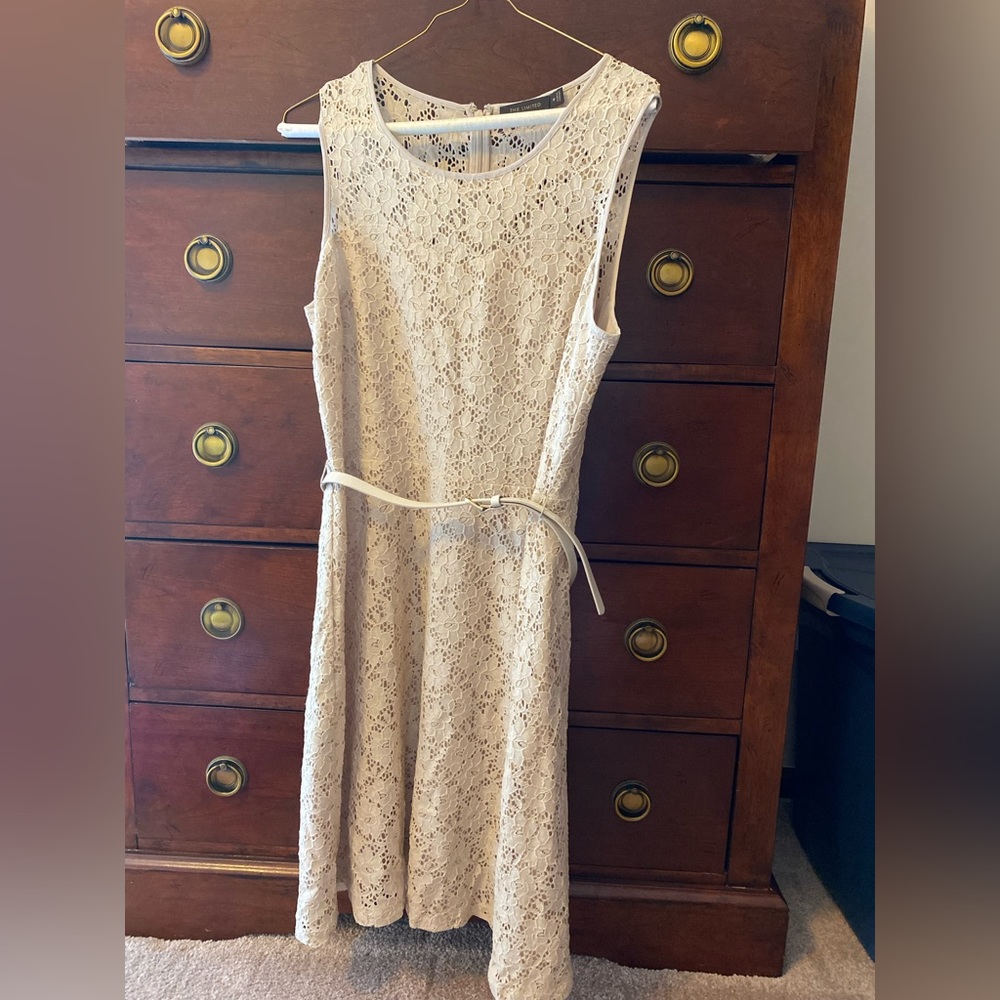 The Limited Lace Dress